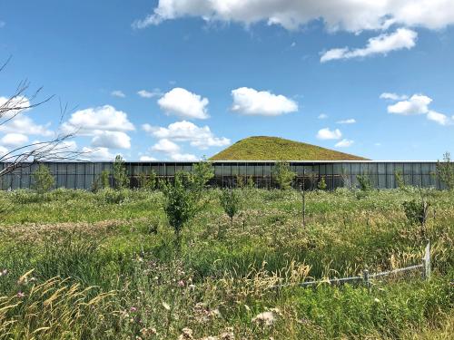 A meadow in front of a building with a pitched green roof